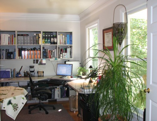 F_F-RVA-working-home-office