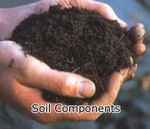 soil-components